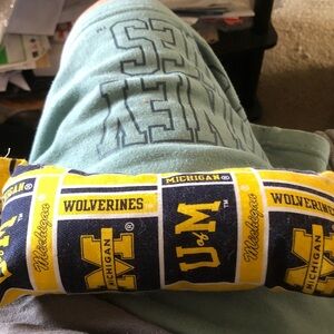 MICHI Yellow and Blue Wolverines Pillow